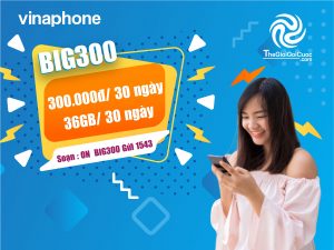 gói cước 3g/4g/5g vinaphone 03/12/2019 gói cước 1 tháng Big300 thegioigoicuoc.com