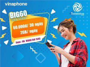 gói cước 3G/4G/5G BIG60 vinaphone