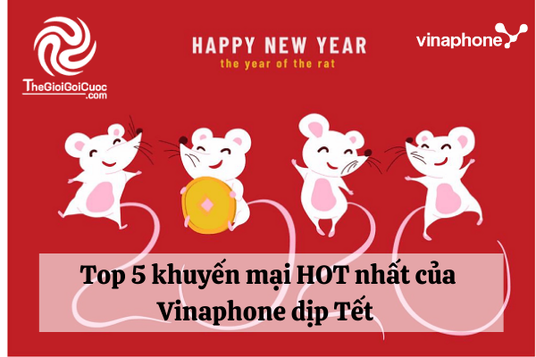Top 5 khuyến mại HOT nhất của Vinaphone dịp Tết Canh Tý 2020.thegioigoicuoc.com